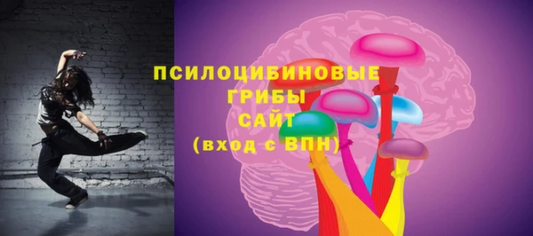 ECSTASY Белокуриха