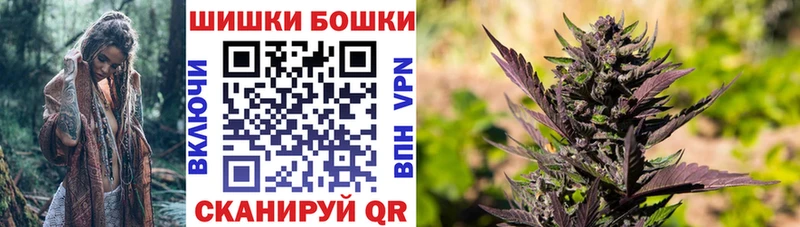 Шишки марихуана планчик  Малоярославец 